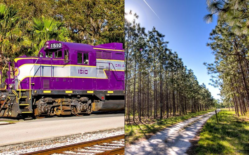Florida Roodepoort Train Rides Relaxing Train Ride Through Florida Offers Unforgettable Scenery ...